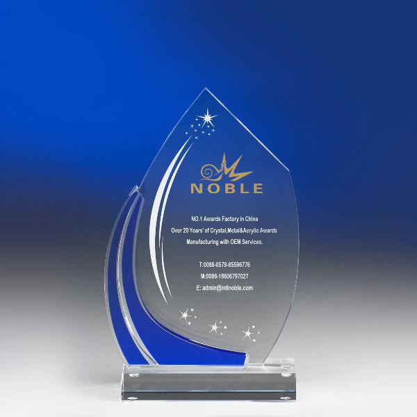 Customized True Star Acrylic Trophy Award