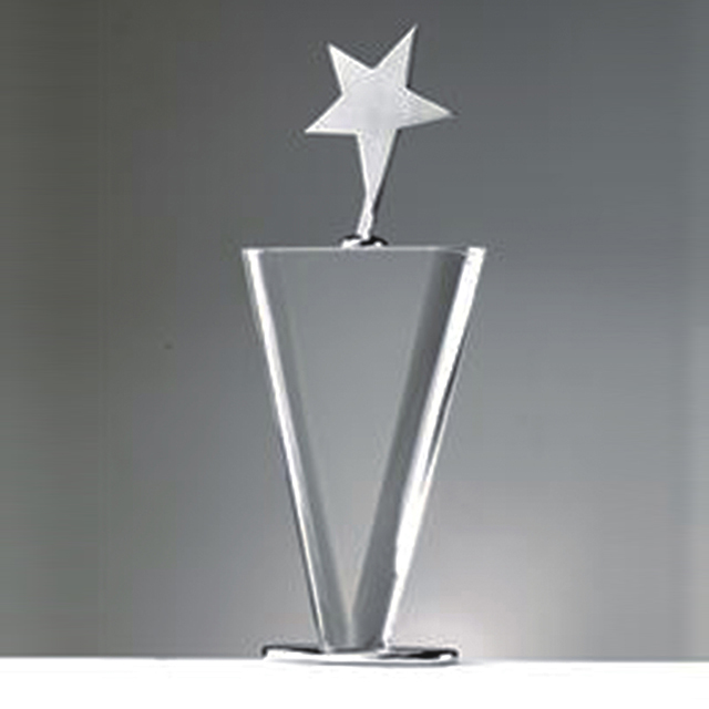 Noble Awards metal custom trophy design OEM For Gift-1