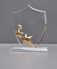 Clear Crystal Star Trophy With Engraving Glass Star Awards