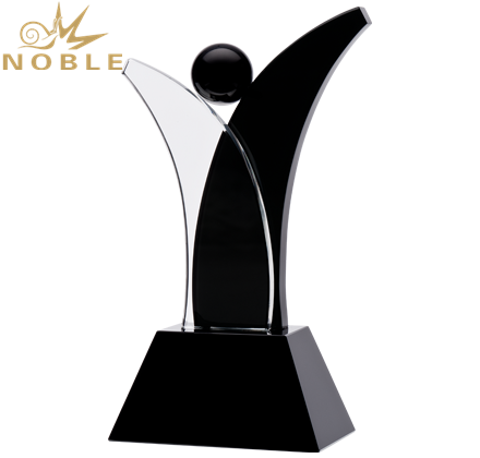 Noble Awards durable glass trophy design OEM For Sport games-2