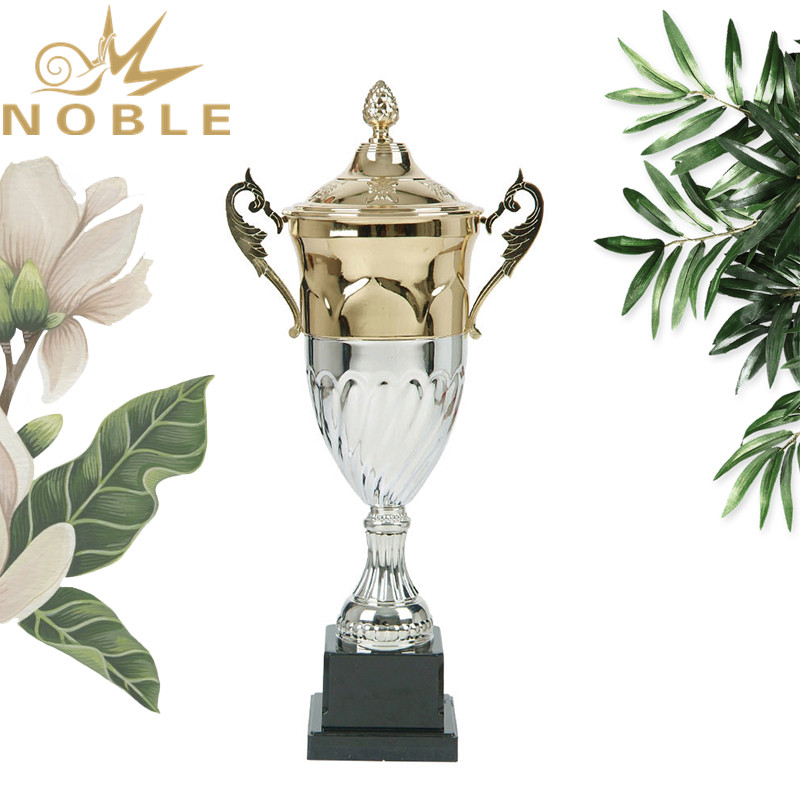 Noble Awards Aluminum Metal trophies with Gift Box For Sport games-1